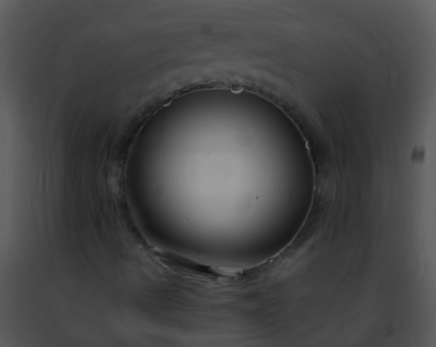 X0000091501490200708301946