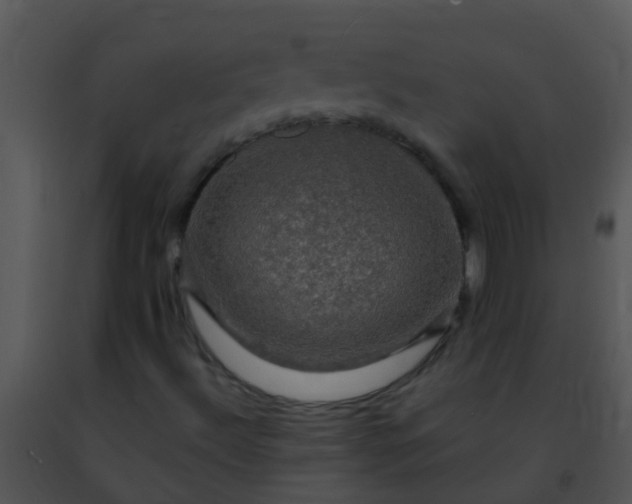 X0000091501492200708301946