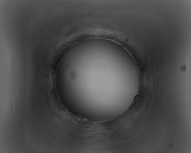 X0000091501493200708301946