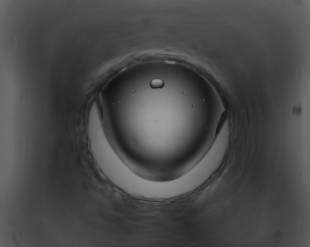 X0000091501494200708301946