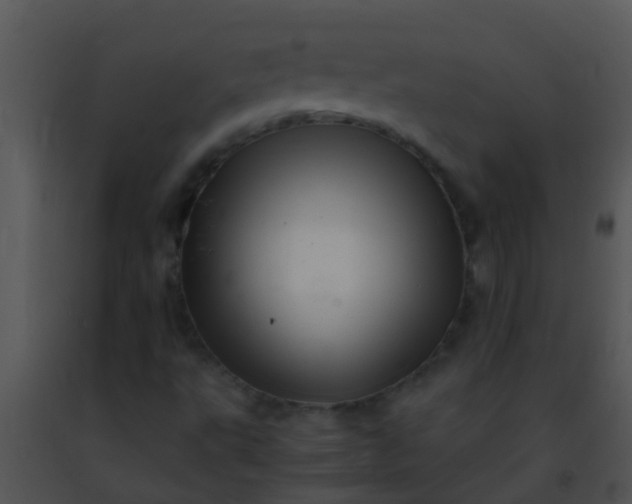 X0000091501495200708301946