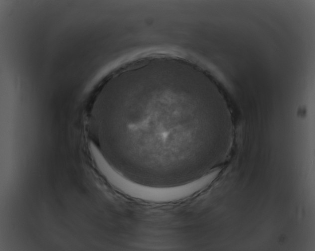 X0000091501496200708301946