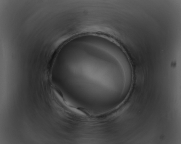 X0000091501497200708301946