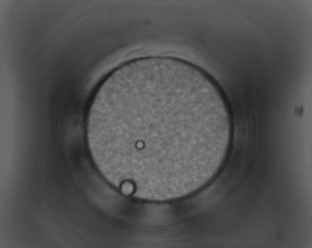 X0000091501498200708301946