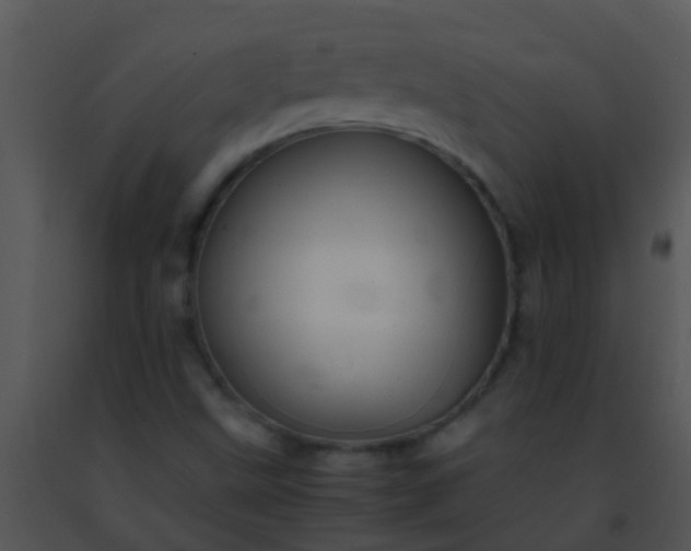 X0000091501499200708301946