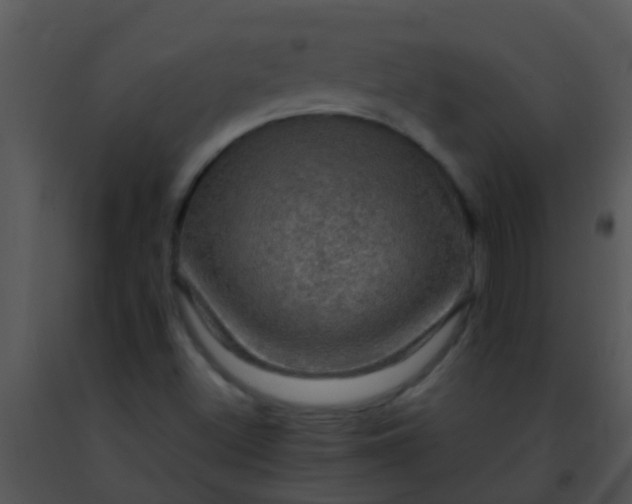 X0000091501500200708301946