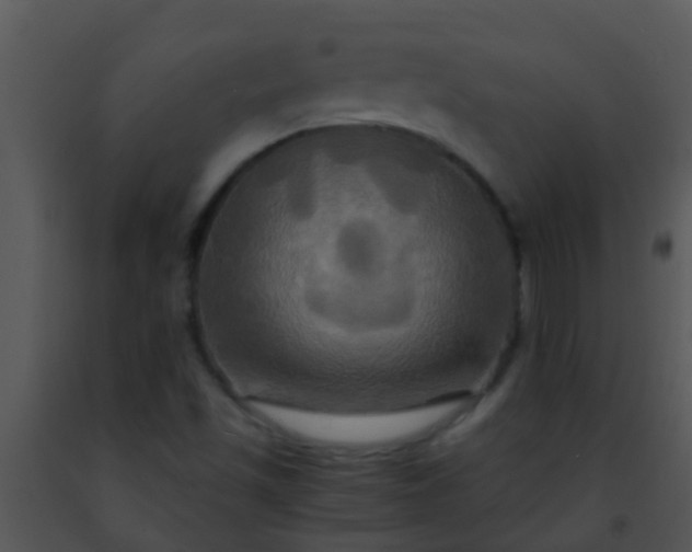 X0000091501501200708301946