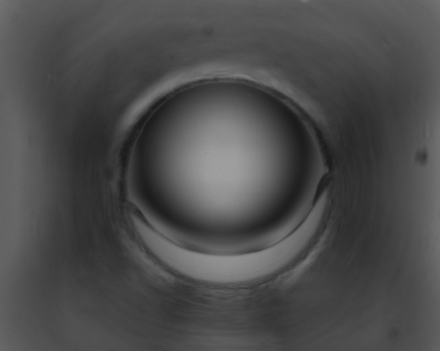 X0000091501502200708301946