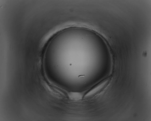 X0000091501503200708301946