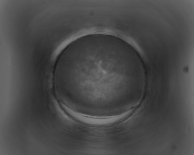 X0000091501504200708301946