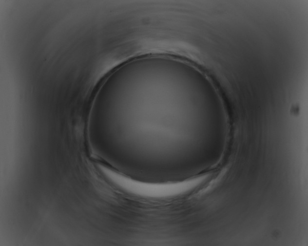 X0000091501505200708301946