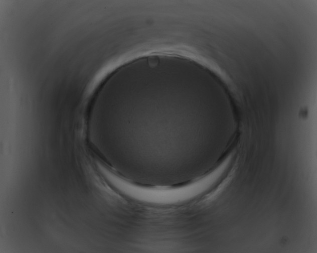 X0000091501506200708301946