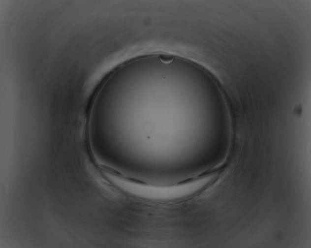 X0000091501507200708301946