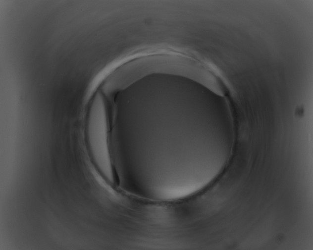 X0000091501508200708301946