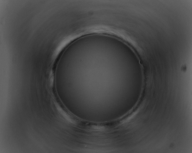 X0000091501509200708301946