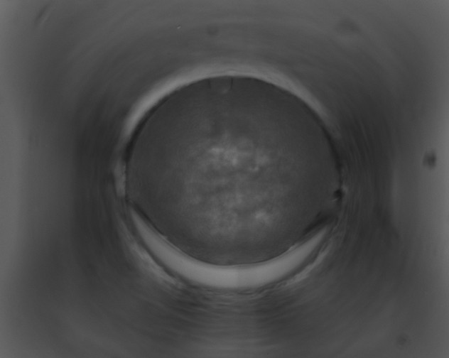 X0000091501510200708301946