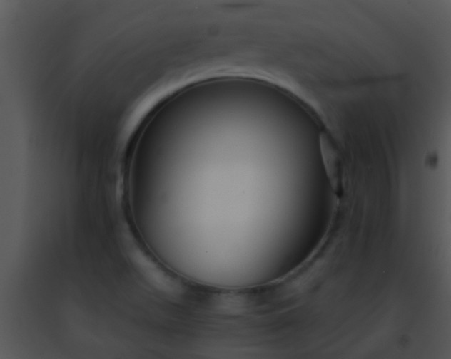 X0000091501511200708301946