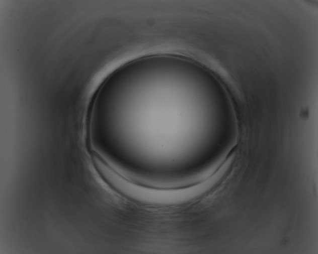 X0000091501512200708301946