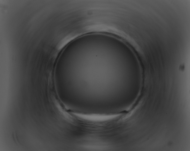 X0000091501513200708301946