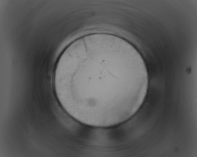 X0000091501514200708301946