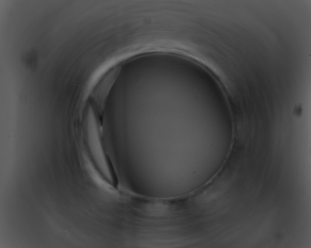 X0000091501515200708301946