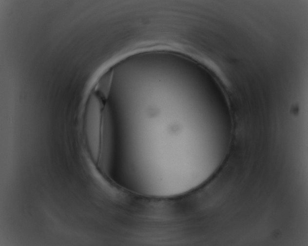 X0000091501516200708301946