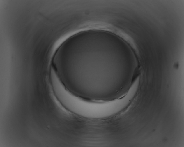 X0000091501520200708301946