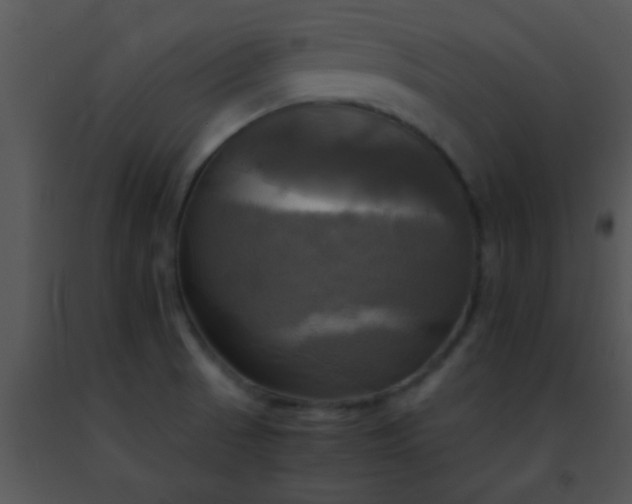 X0000091501521200708301947