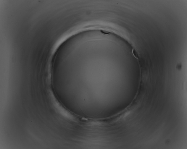 X0000091501522200708301947