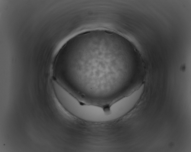 X0000091501524200708301947