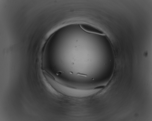 X0000091501526200708301947