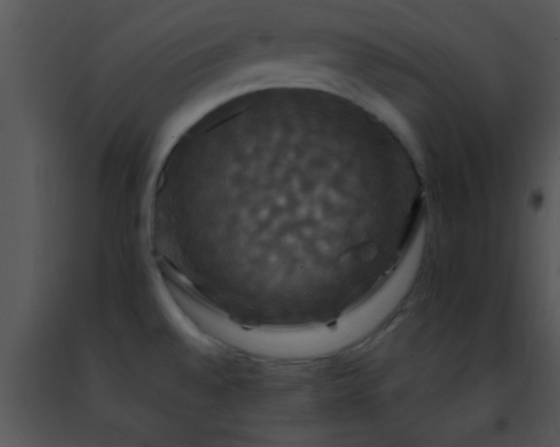 X0000091501528200708301947