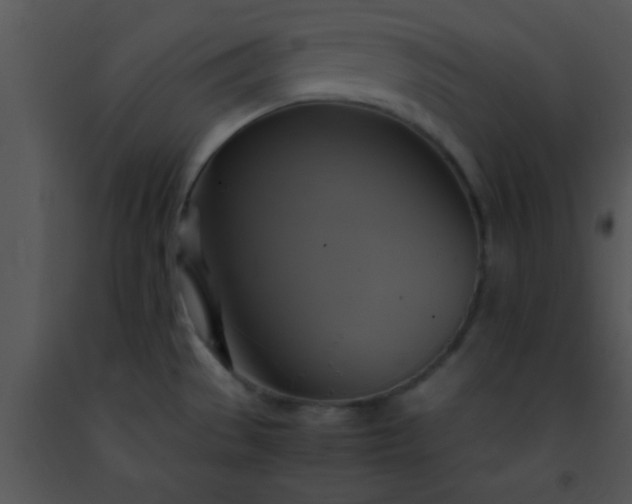 X0000091501529200708301947