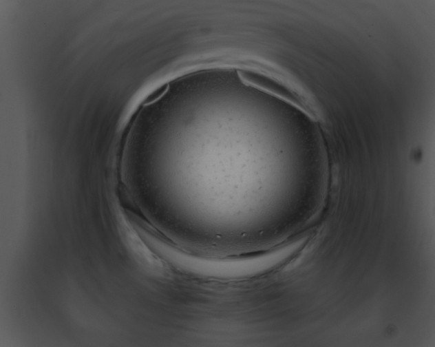 X0000091501530200708301947