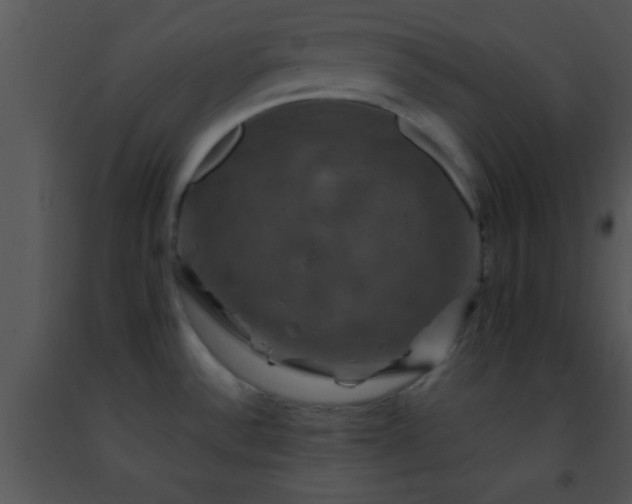 X0000091501532200708301947