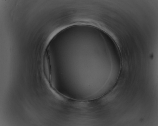 X0000091501533200708301947