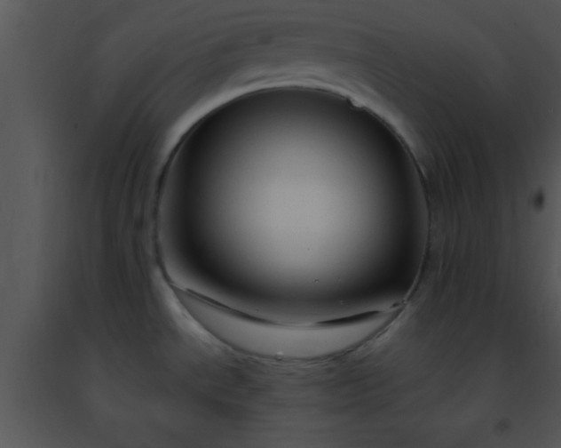 X0000091501534200708301947