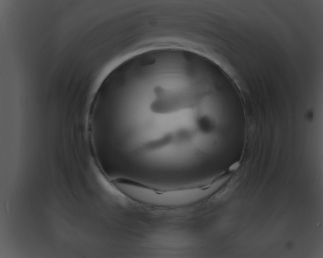 X0000091501535200708301947