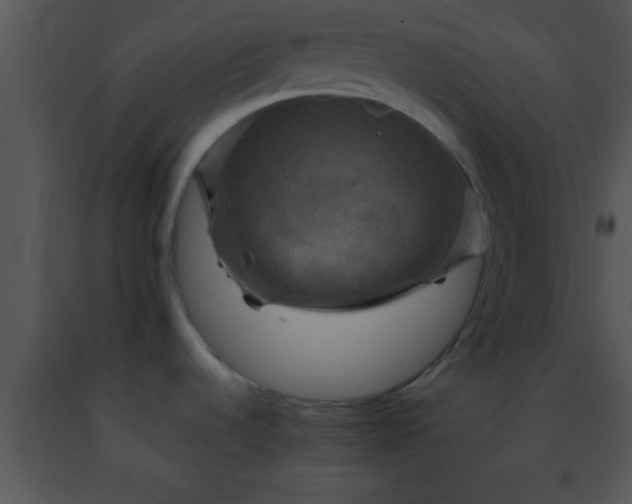 X0000091501536200708301947