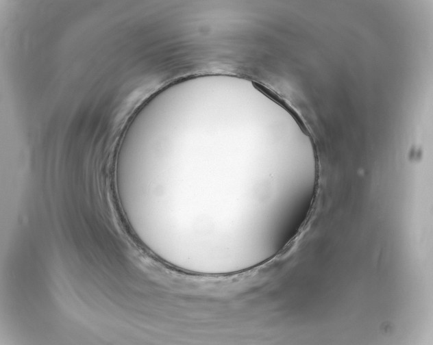 X0000091500001200709061932