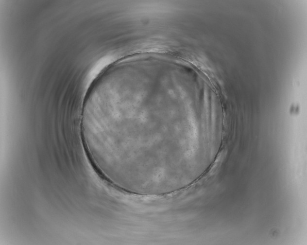 X0000091500003200709061932