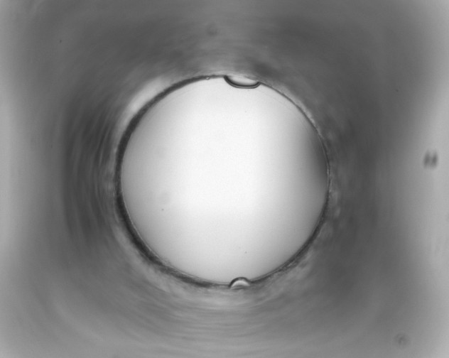 X0000091500008200709061932