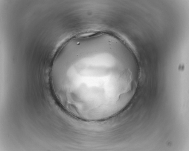 X0000091500010200709061932