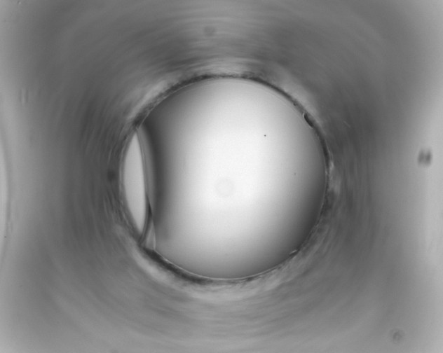 X0000091500013200709061932