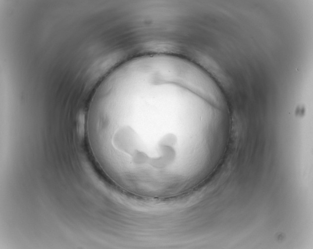 X0000091500014200709061932