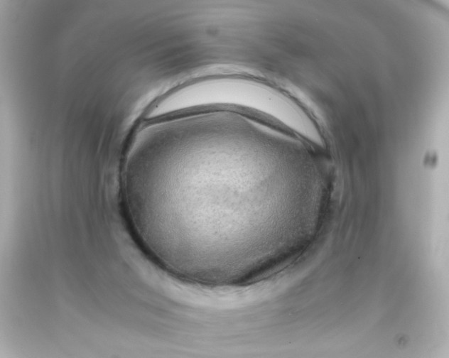 X0000091500015200709061932