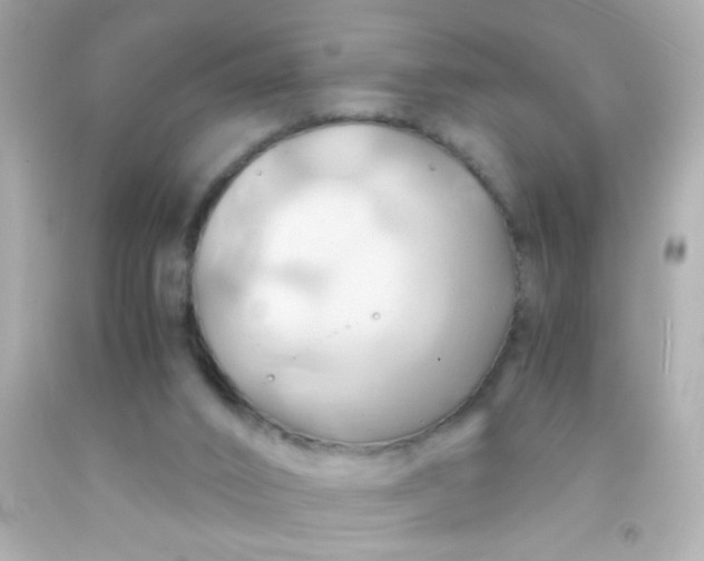 X0000091500016200709061932