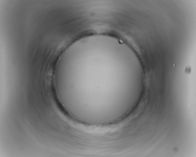 X0000091500018200709061931