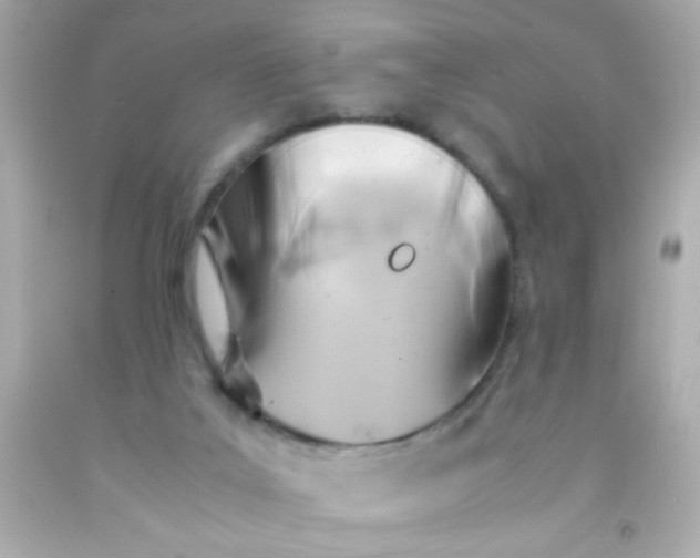 X0000091500019200709061931