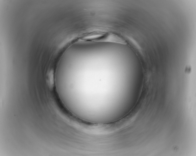 X0000091500020200709061931